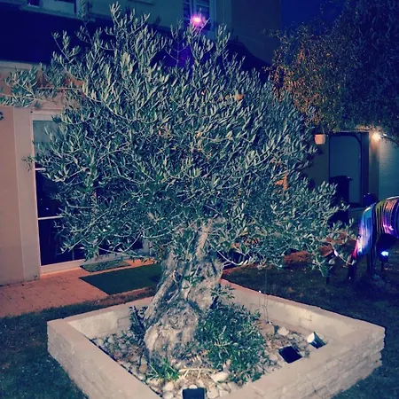 Le Jardin Des Oliviers & Spa, Le Calme De La Campagne, La Foret Et L'evasion A Deux Pas ! Apartment Montcornet (Ardennes)