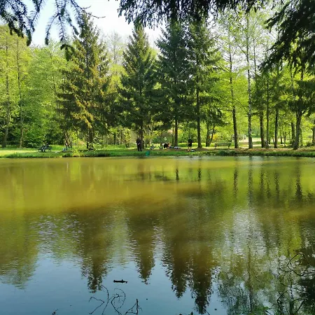 Apartment Le Jardin Des Oliviers & Spa, Le Calme De La Campagne, La Foret Et L'evasion A Deux Pas ! Montcornet (Ardennes)
