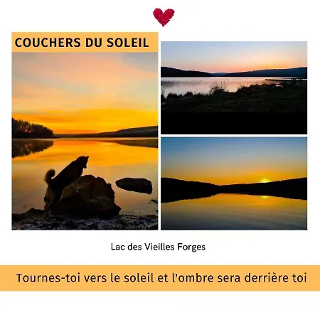 Le Jardin Des Oliviers & Spa, Le Calme De La Campagne, La Foret Et L'evasion A Deux Pas ! Apartment Montcornet (Ardennes)