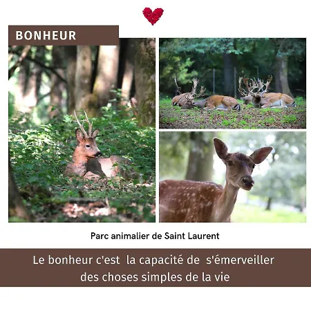Apartment Le Jardin Des Oliviers & Spa, Le Calme De La Campagne, La Foret Et L'evasion A Deux Pas !
