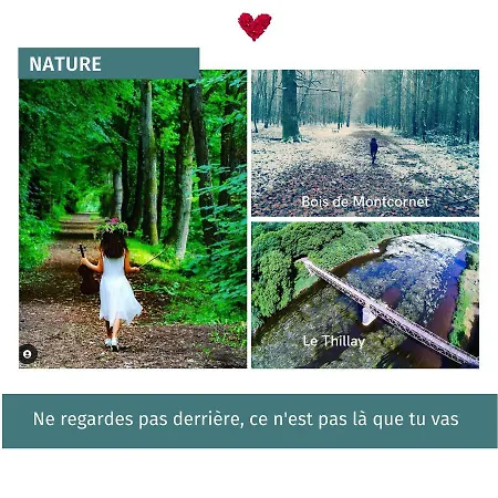 Le Jardin Des Oliviers & Spa, Le Calme De La Campagne, La Foret Et L'evasion A Deux Pas ! Montcornet (Ardennes)